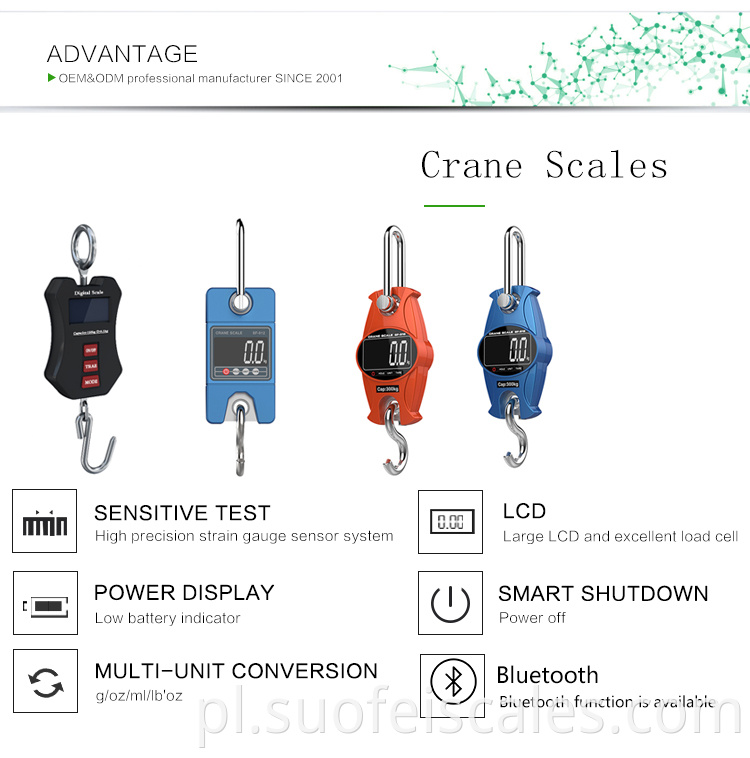SF-918 Digital Small Crane Scale 300 kg Electronic Mini Portable Crane Wais Scale